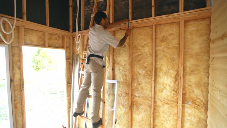 Best Attic Insulation Installation  in Lavonia, GA